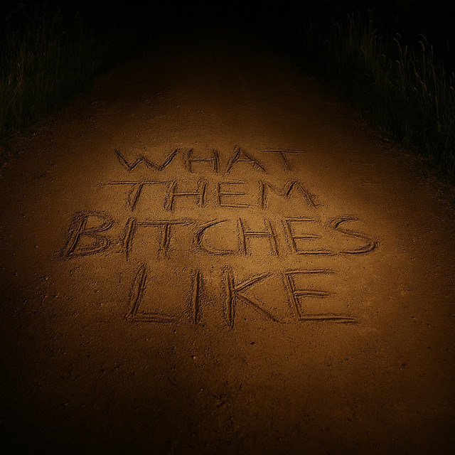 What Them Bitches Like cover art